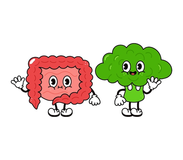 Cute funny happy intestines and broccoli character