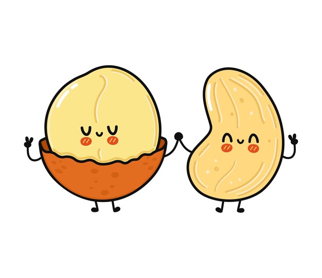 Cute funny happy macadamia and cashew character