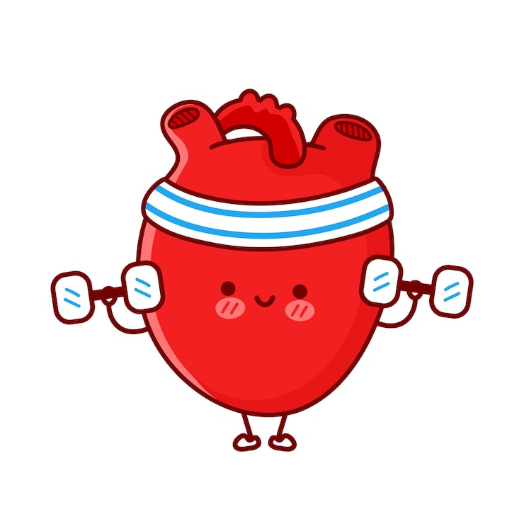 Vector かわいい面白いハートオルガンはダンベルでジムを作ります。ベクトルフラットライン漫画かわいいキャラクターイラストアイコン。白い背景で隔離。心臓器官のトレーニング漫画のキャラクターの概念