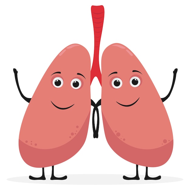 Cute funny human lungs organ character Vector flat line cartoon kawaii character illustration icon Isolated on white background Lungs organ character concept