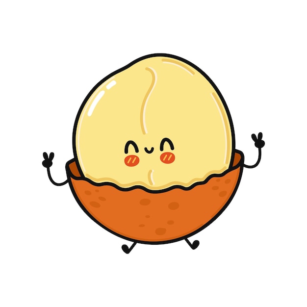 Cute funny macadamia character