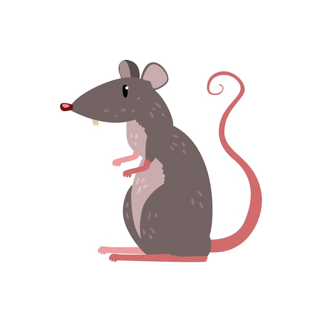 Vector cute funny mouse character vector illustration isolated on a white background.