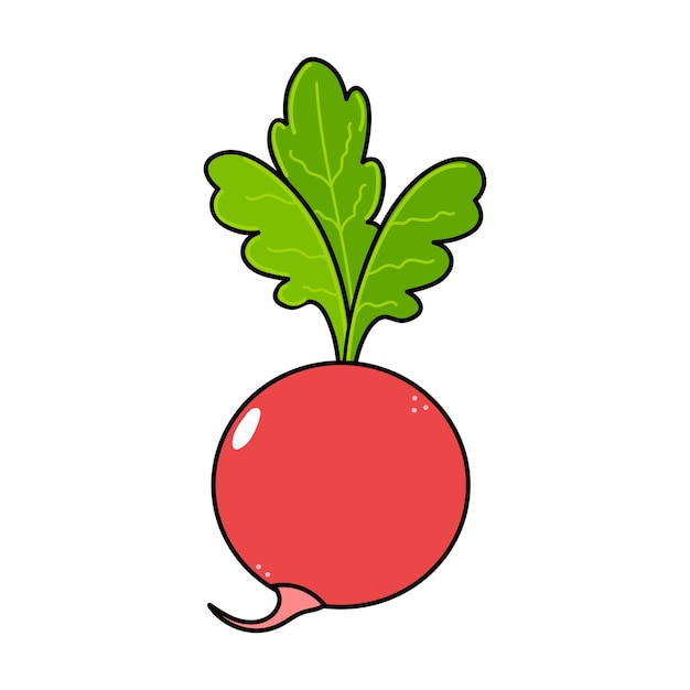 Cute funny radish character