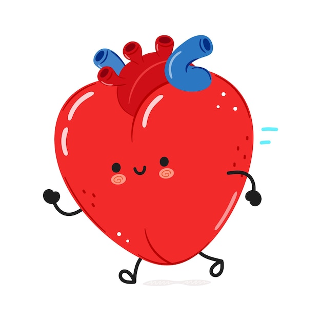 Vector cute funny running heart organ