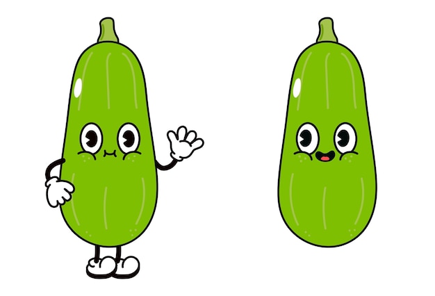 Cute funny vegetable marrow character