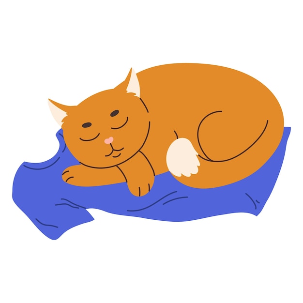 Cute ginger cat sleeping on the owner's tshirt Domestic animal flat vector illustration