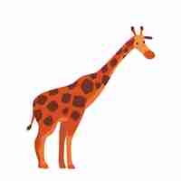 Vector cute giraffe jungle animal side view african safari travel cartoon vector illustration on white background