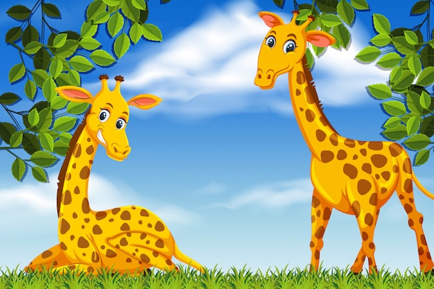 Giraffe sveglie nella scena di legni