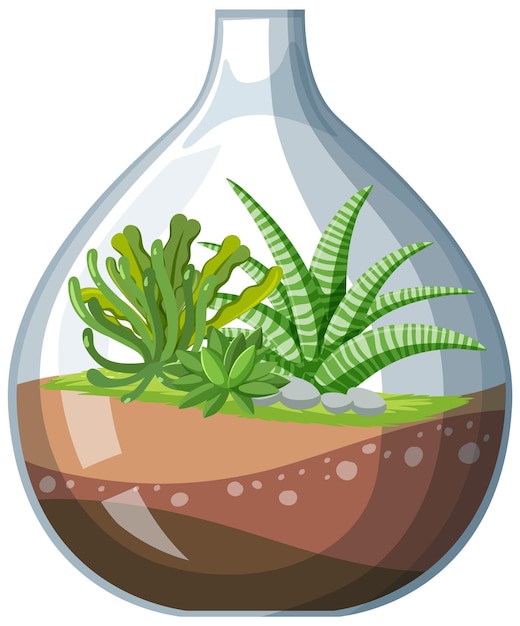 Cute glass terrariums with succulents on white backround