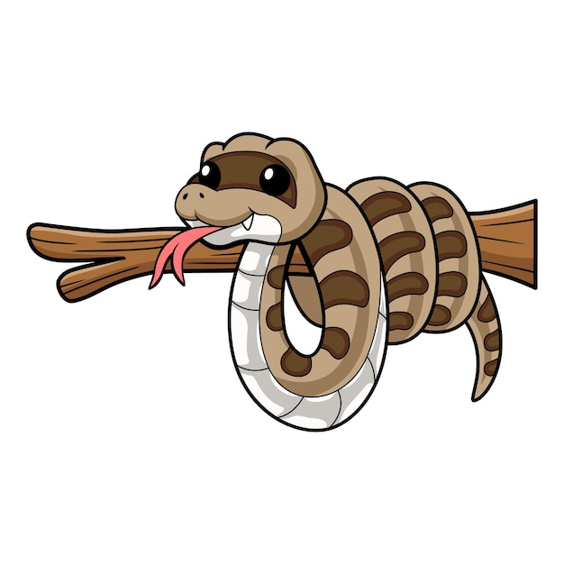 Vector cute gopher snake cartoon on tree branch