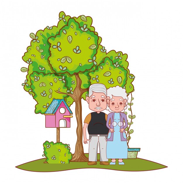 Vector cute grandparents couple cartoon