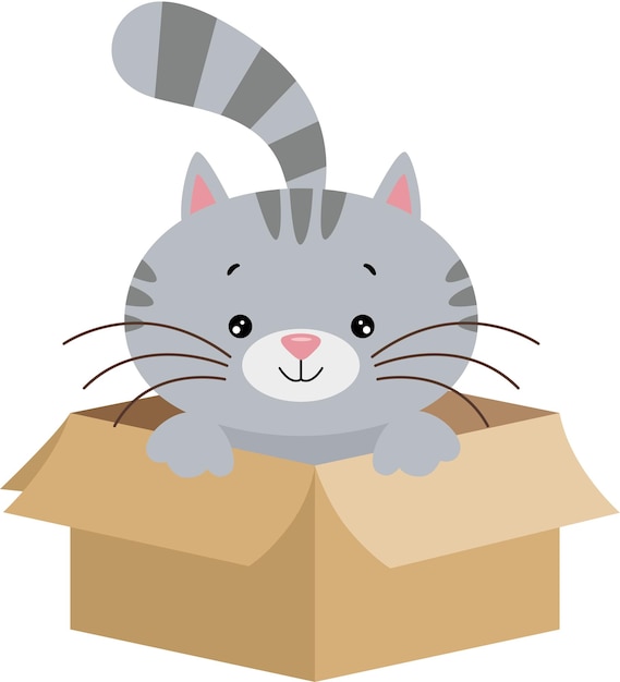 Cute gray cat in cardboard boxcdr