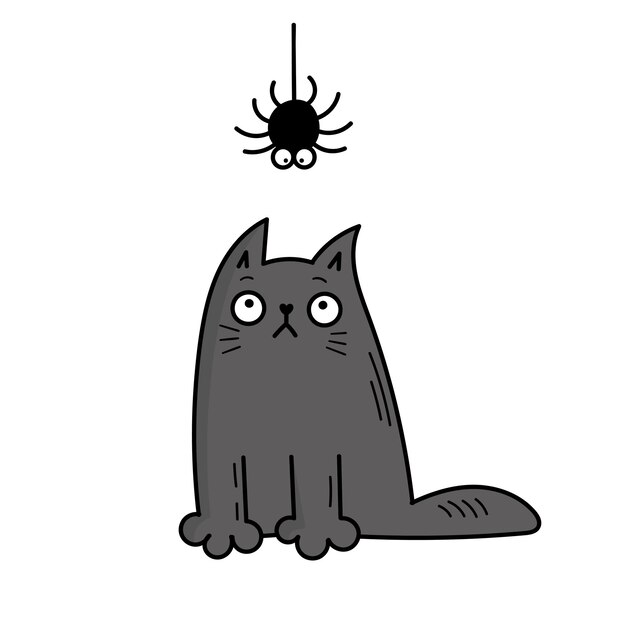 귀여운 회색 고양이가 거미를 봅니다. 할로윈. 낙서 스타일의 그림