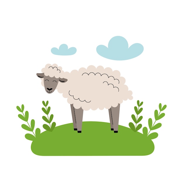 Cute gray sheep stands in the meadow. cartoon farm animals, agriculture, rustic. simple vector flat illustration on white background with blue clouds and green grass.