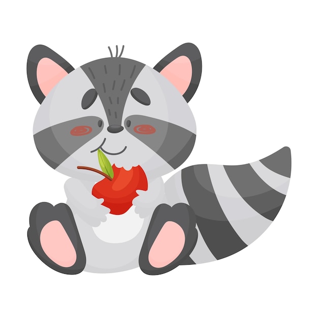 Вектор Милый серый полосатый енот ест красное яблоко. векторная иллюстрация на белом фоне