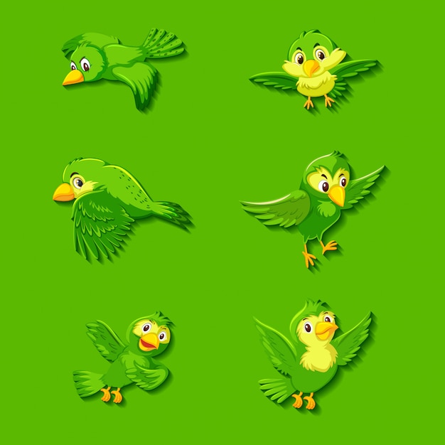 Vector cute green bird cartoon character