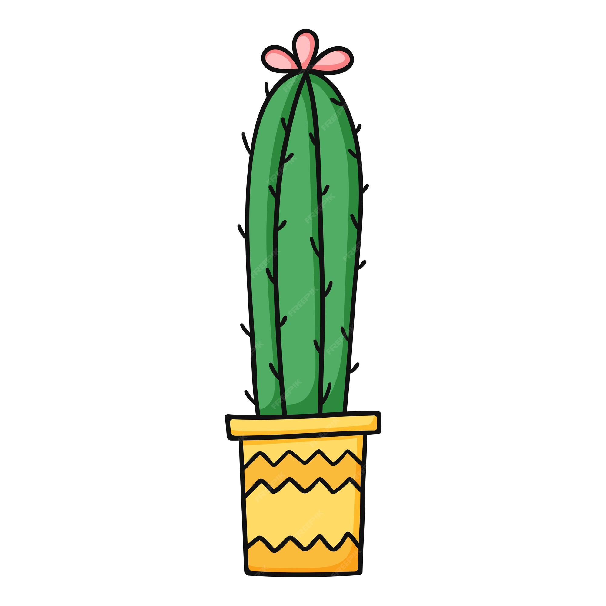 Cactus Pot Thorn Color Colour Sketch PNG & SVG Design For T-Shirts