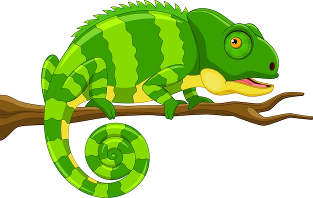 Cute green chameleon on branch cartoon