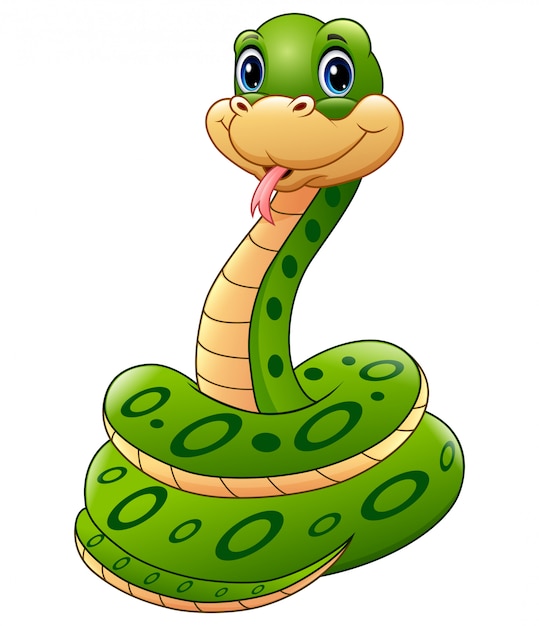 Vector cute green snake animal cartoon