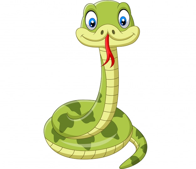 Vector cute green snake cartoon isolated