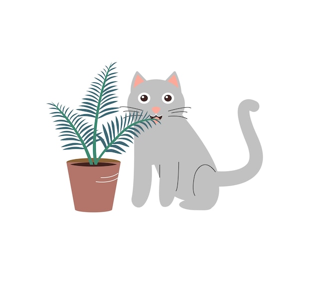 Cute grey cat eating houseplant. Domestic pet nibbling on green plant.