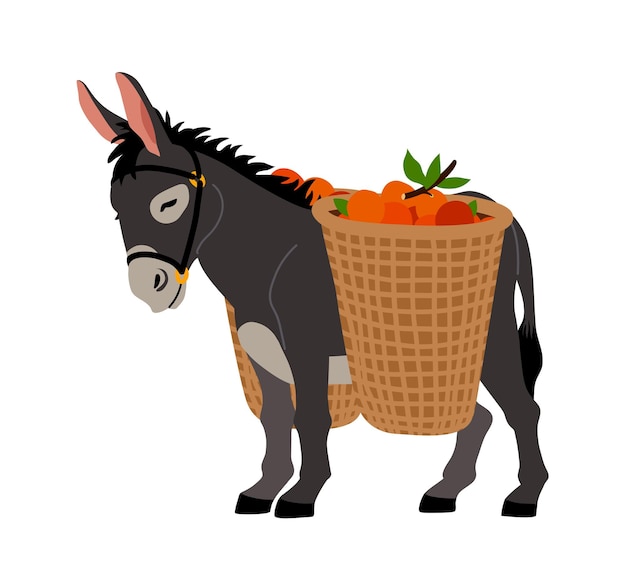 Vector cute grey donkey with baskets of oranges cargo transportation