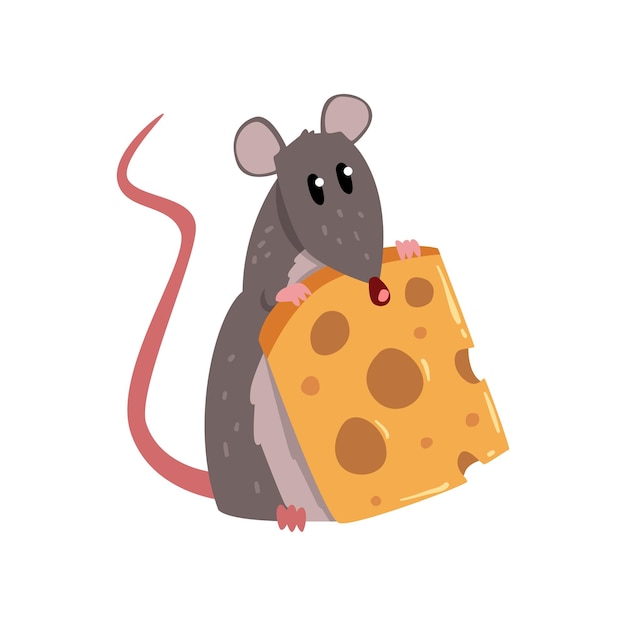 Cute grey mouse holding piece of cheese, funny rodent character vector illustration isolated on a white background.