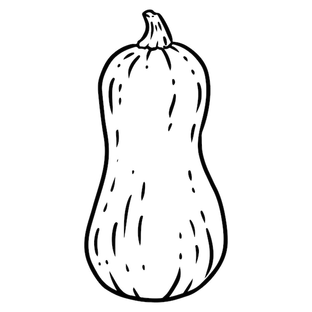 Vettore icona del fumetto della zucca di halloween carina immagine di stile fumetto del contorno del cibo raccolto illustrazione lineart isolata disegnata a mano dell'agricoltura per le carte di disegni e stampe