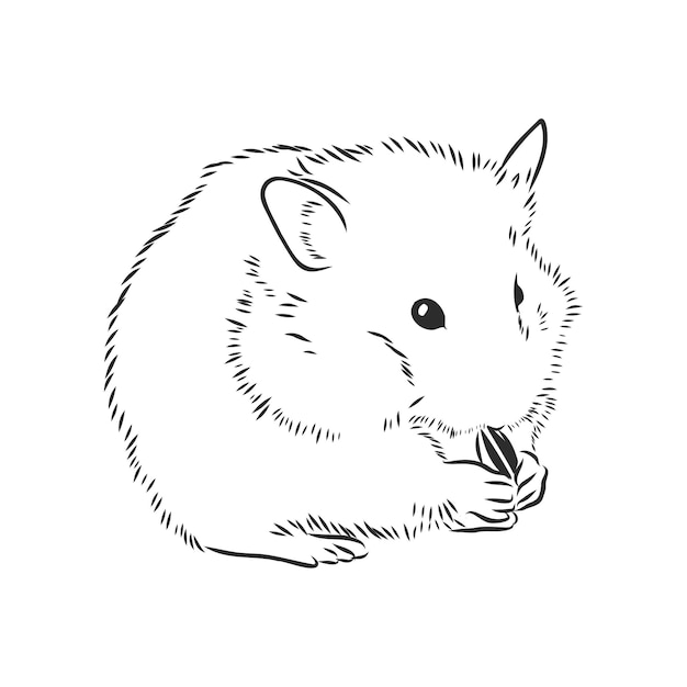 Cute hamster pet rodent vector sketch illustration