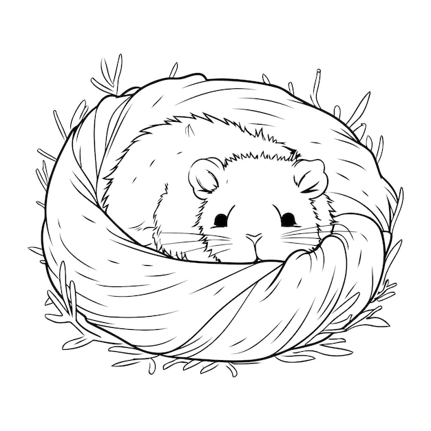 Cute hamster sleeping in the nest black and white vector illustration