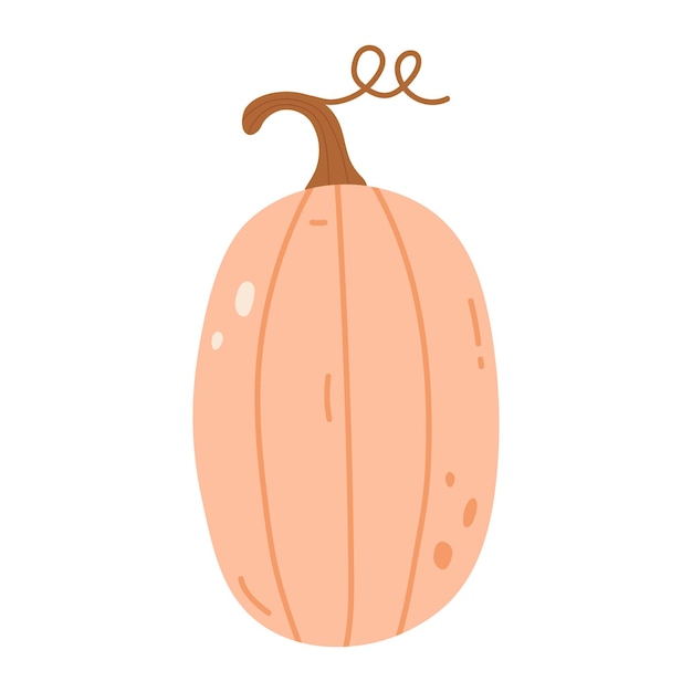 Vettore cucina disegno a mano zucca vegetale cartone animato illustrazione ciao autunno autunno