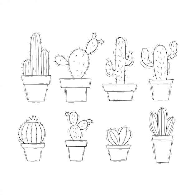 Doodle disegnato a mano sveglio del cactus