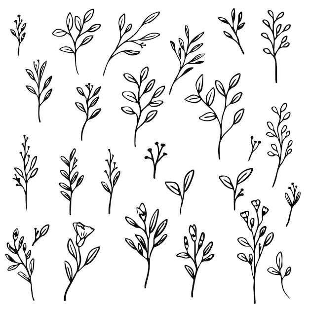 Vector cute hand drawn flower element set