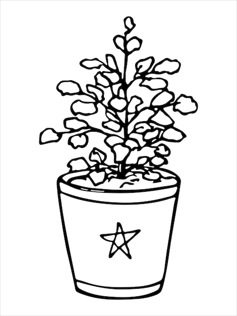 Милое рисованное комнатное растение в горшке клипарт иллюстрация растений уютный домашний каракули