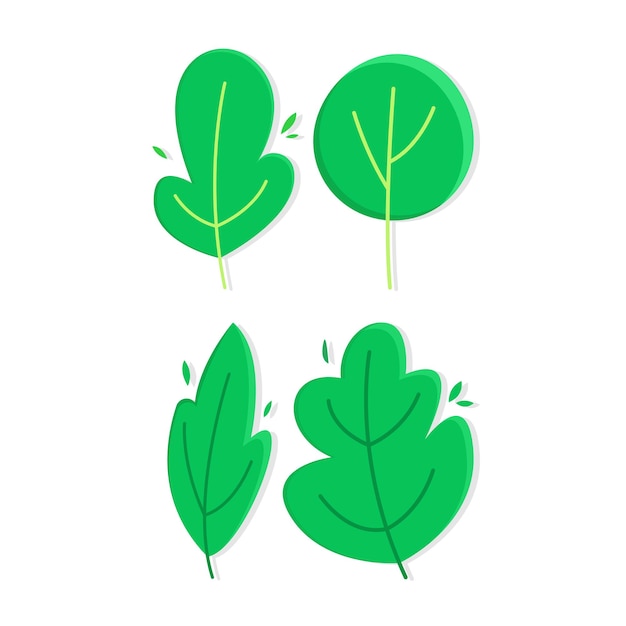 Vector cute hand drawn minimal leaves illustration, nature decorative elements