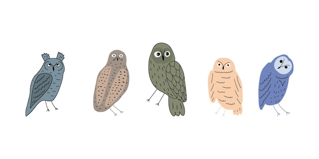 Cute hand drawn outlined owls Forest birds Perfect for tshirt apparel cards poster nursery decoration Vector Illustration