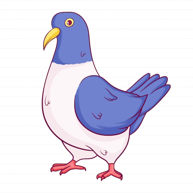 Cute hand drawn pigeon