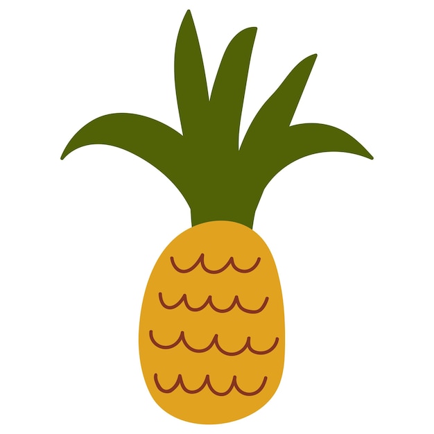 Vector cute hand drawn pineapple white background isolate vector illustration