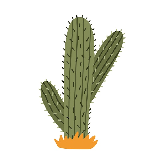 Cactus PNG - Watercolor Cactus, Cactus Flower, Cartoon Cactus, Cactus  Vector, Cute Cactus, Cactus Background, Cactus Border, Cactus Silhouette,  Desert Cactus, Christmas Cactus, Mexican Cactus, Cactus Cute, Cactus  Design, Cactus Plants, Prickly