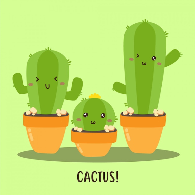 Carino felice collezione di cactus vector design