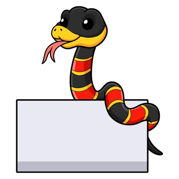 Vector cute happy coral snake cartoon with blank sign