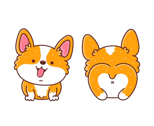 Vector cute happy corgi dog front and back