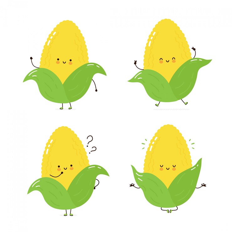 Vector cute happy corn character set collection. isolated on white . vector cartoon character illustration design, simple flat style. corn walk,train,think,meditate concept