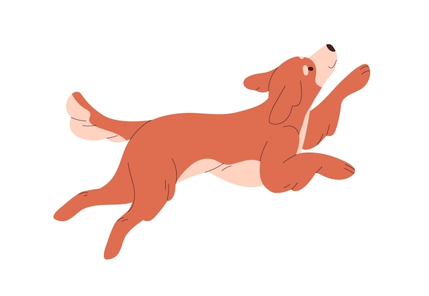 Vettore simpatico cane felice che corre, esulta. salto spensierato divertente del cucciolo. cagnolino, animale canino. adorabile cucciolo bicolore amichevole in movimento. illustrazione vettoriale piatta isolata su sfondo bianco