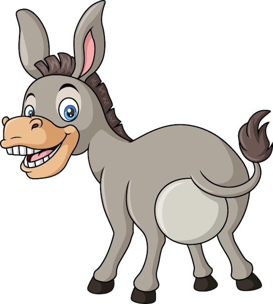 Vector cute happy donkey cartoon on white background