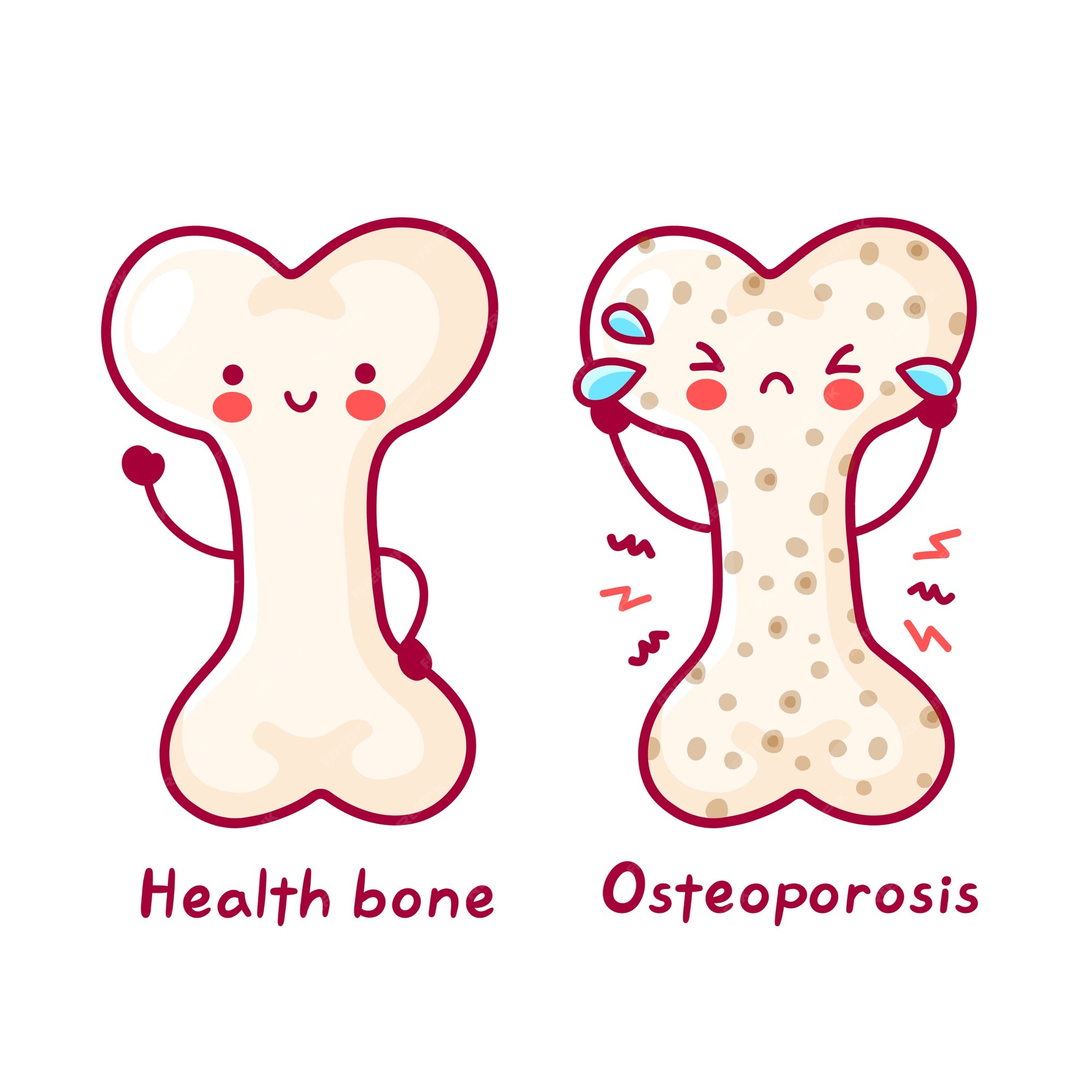 Page 3 | Bone marrow Vectors & Illustrations for Free Download | Freepik Page 3 | Bone marrow Vectors & Illustrations for Free Download | Freepik
