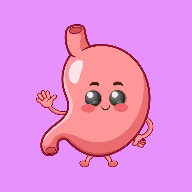 Vector cute happy funny stomach organ cartoon vector icon illustration