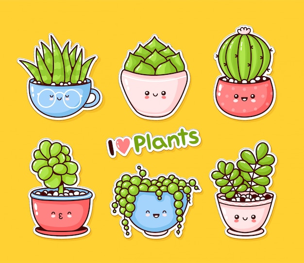 Cute happy funny succulents plants set collection.