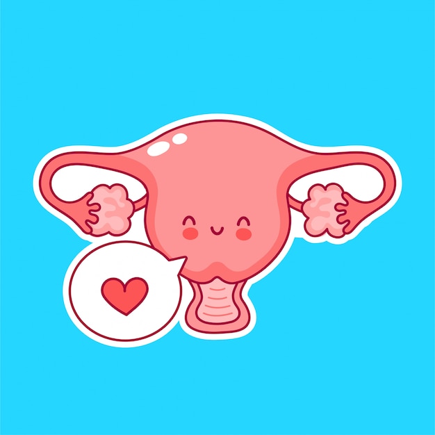 Vector cute happy funny woman uterus organ with heart in speech bubbl