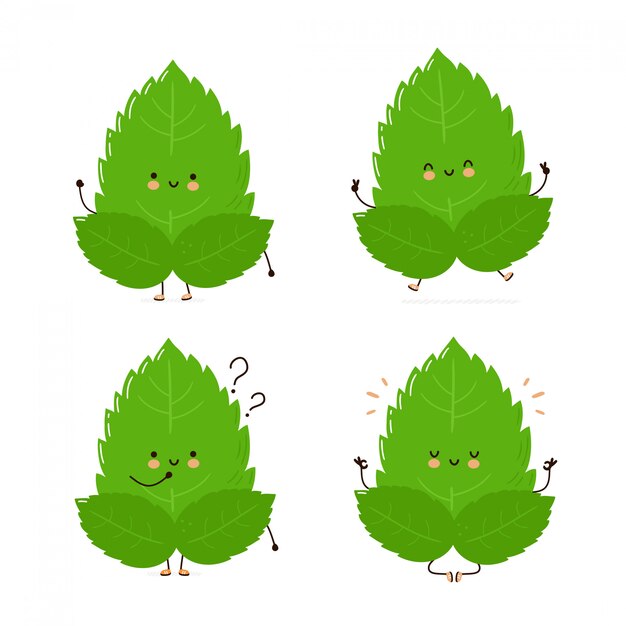 귀여운 행복 민트 잎 문자 집합 컬렉션입니다.